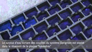 Végétalisation de toiture Optigreen [upl. by Balliol]