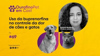 OurofinoPet em Cast  Episódio 69  Uso da buprenorfina no controle da dor de cães e gatos [upl. by Fenton631]