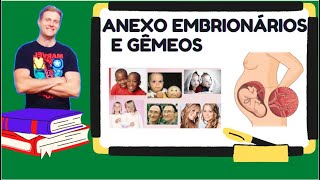 ANEXOS EMBRIONÁRIO E FORMAÇÃO DE GÊMEOS embriologia biologia vestibular [upl. by Mary319]