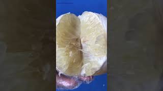 White Pomelo benefits tropical pomelofruit 🍋 [upl. by Bravar]