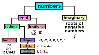 Rational Numbers [upl. by Aenyl]