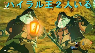 ハイラル王当然２人いる説【ゼルダの伝説ブレスオブザワイルド】検証 実況 [upl. by Arnst840]