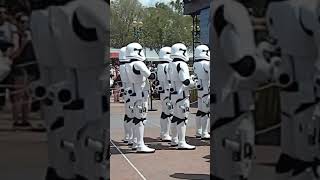 Disney Hollywood Studios 2017 05 Storm Trooper Parade 1 VERTICAL [upl. by Ennayelsel]