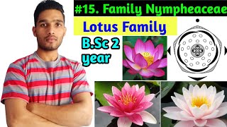 family NymphaeaceaeFloral daigram and Economic importance BSc 2 year [upl. by Chellman]