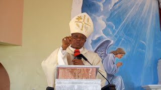 LORD Who Do You Say I am  Bishop Godfrey Igwebuike ONAH [upl. by Azpurua]