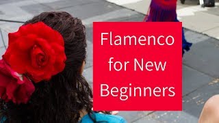 Flamenco Dance Basics  Learning the Fundamentals for New Beginners [upl. by Margalit]