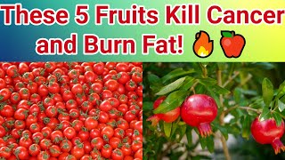 5 Magic Fruits to Fight Cancer and Burn Fat 🔥  Dr William Li [upl. by Mauro528]