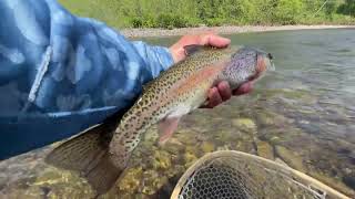 The Bite Was On Fire Trout Fishing BRODHEAD CREEK PA [upl. by Berte]