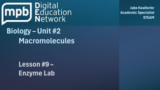 MPB Biology Unit 2 Lesson 9 Enzyme Lab [upl. by Anes]