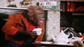 PG TIPS MONKEY ADVERT  Robbery  UK TV COMMERCIAL [upl. by Dorena945]