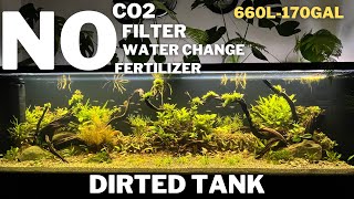 Aquascape Tutorial How To Make A Natural Planted Dirted Tank  Low Tech Tank  Ecosystem Aquarium [upl. by Dnalyr727]