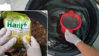 Humic Acid Fertilizer  Uses and Benefits in Gardening  Fun Gardening [upl. by Romeon]