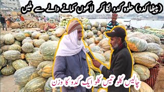 Pumpkin farming  Petha kaddu Farming  Halwa Kaddu how to grow Pumpkin seeds Punjab Pakistan [upl. by Downe]