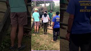 WHAT WE SEE AT JUNGLE SAFARI jungle safari [upl. by Iralam62]