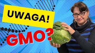 Cała Prawda o Tworzeniu GMO [upl. by Meldon]