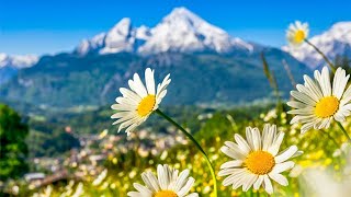 Switzerland AMAZING Beautiful Nature with Soothing Relaxing Music 4k Ultra HD by Tim Janis [upl. by Ailito]