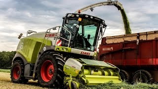 Grünroggen häckseln 2015 mit Claas Jaguar Case Puma 230 [upl. by Magas]