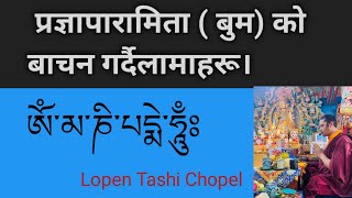 प्रज्ञापारामिता को वाचन गर्दै लामा गुरु हरु। [upl. by Einahpet424]