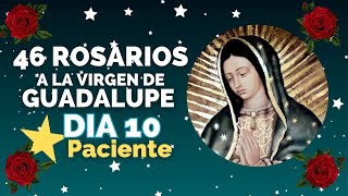 DIA 10 ⭐PACIENTE 46 Rosarios 🌹 a la Virgen de Guadalupe [upl. by Ylloj970]