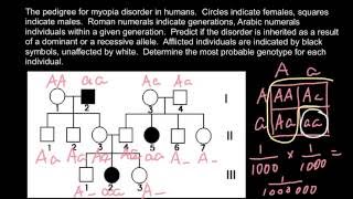 Example of Solution of the Simple Pedigree Problem [upl. by Claudie]