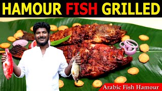 HAMOUR FISH GRILLED  Hamor Fish Recipe Malayalam  ARABIC HAMOUR FISH GRILLED  Grilled Fish Recipe [upl. by Feil]