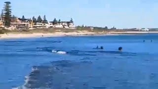 COTTESLOE BEACH PERTH WESTERN AUSTRALIA TRENDING SHORTVIDEO [upl. by Candice504]