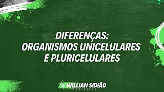 Diferenças entre Organismos Unicelulares e Pluricelulares  Prof Willian Sidião [upl. by Gilchrist]