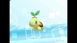 Pokémon Sun and Moon Walking Animations 387493 [upl. by Adas786]