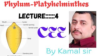 Phylum Platyhelmintheslectur ——4BY Kamal Nepal sir Cee zoology [upl. by Haimirej]