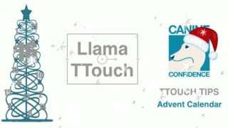 Llama TTouch TTouch Tips Advent Calendar Day 16 [upl. by Anaid]