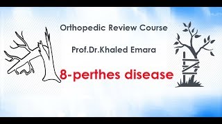 8perthes disease  prof Drkhaled Emara  مرض قصور الدوره الدموية فى رأس عظمة الفخذ فى الاطفال [upl. by Eissim6]