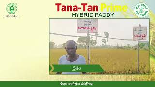 Biosseed TanaTan Prime HybridPaddy [upl. by Ahsauqram]