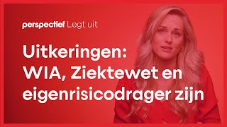 Uitkeringen wat u moet weten over WIA WGAIVA Ziektewet en Eigenrisicodrager zijn [upl. by Galina]