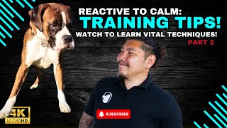 How to INSTANTLY STOP Dog on Dog Aggression amp Reactivity [upl. by Anevad]