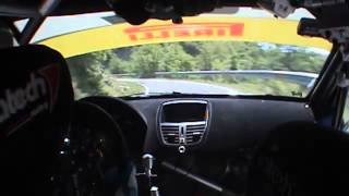 CameraCar Rally Coppa dOro 2012 Brega  Biglieri Peugeot 207 S2000 2° Assoluti [upl. by Valleau]