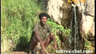 Eritrean music Ayna Kuhila Daniel Debesay Tatuka [upl. by Ennayehc856]