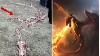 Real Dragon Discovered in China [upl. by Yerffoj]