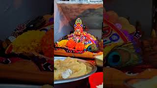 जय श्री राधे कृष्ण 🏵️like comment reels subscribe shortsfeed youtubeshorts viralvideo song [upl. by Rodie5]