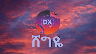 ROPHNAN  SHEGIYE  ሸግዬ  Lyrics  Dx mix New Ethiopian Music 2024 Lyrics [upl. by Ilwain]