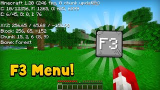 Debug Screen AddOn for Minecraft  Minecraft Bedrock 119  120 [upl. by Karb]