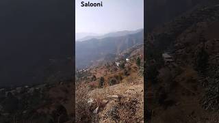 salooni view salooni chamba travel video song shorts [upl. by Houlberg]