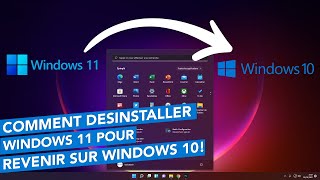 How to Downgrade Windows 11 Professional to Windows 11 Home [upl. by Mchenry]