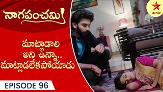 Naga Panchami  Episode 96 Highlight 2  Telugu Serial  StarMaa Serials  Star Maa [upl. by Meldoh833]