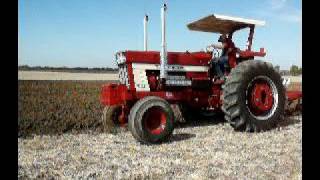 IH 1566 BS 1468 1466 1066 plowing [upl. by Kcinom461]