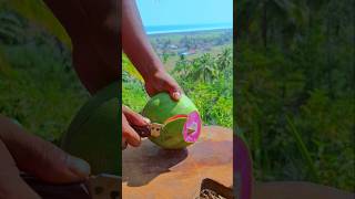 cool coconut ponk fantastic ASMR [upl. by Ragnar680]