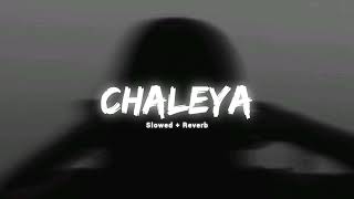 Chaleya  Slowed and Reverb [upl. by Nolad]