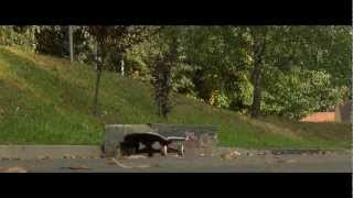 Gorlice skateboard documentary 2013 trailer [upl. by Ahsinhoj]