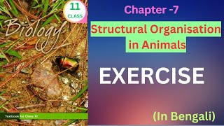 Class 12 ncertbiology exercise solution from structuralorganisationinanimals Harunbiozone [upl. by Adidnere25]