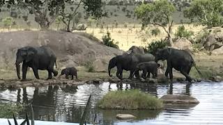 Four Seasons Safari Lodge Serengeti  Serengeti Tanzania [upl. by Edison]