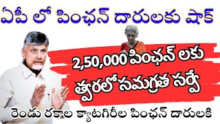 ఏపీ లో పింఛన్ దారులకి షాకింగ్ న్యూస్  రెండు రకాల పింఛన్ దారుల క్యాటగిరి వారికి సమగ్రత సర్వే [upl. by Egon]